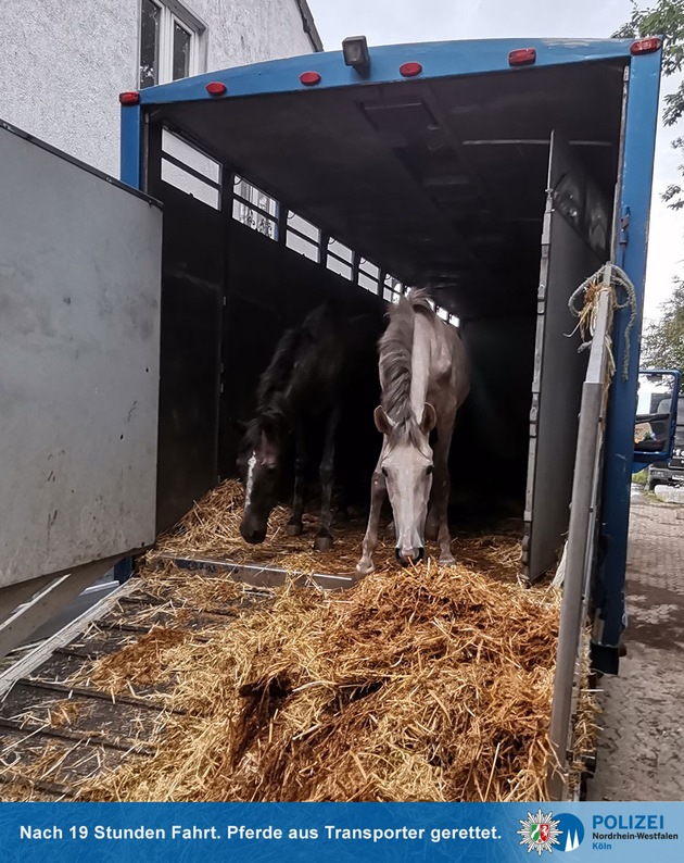 POL-K: 210920-6-K/BAB Pferde nach 19 Stunden Fahrt aus Transporter gerettet