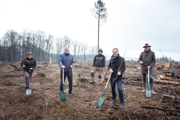Zukunftswald – RheinEnergie und BELKAW pflanzen 60.000 Bäume