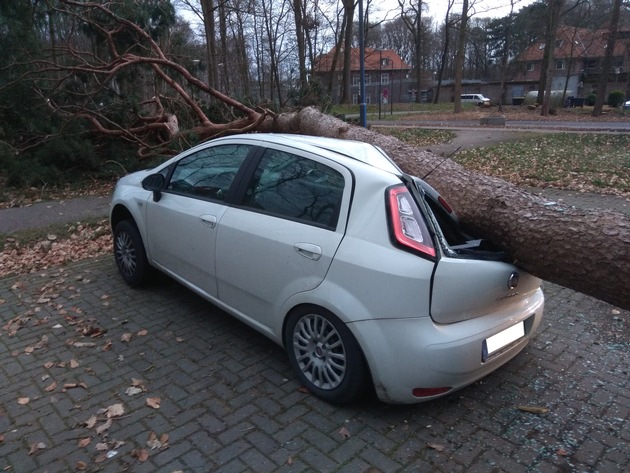 FW-KLE: Baum kracht im Sturm auf Autodach