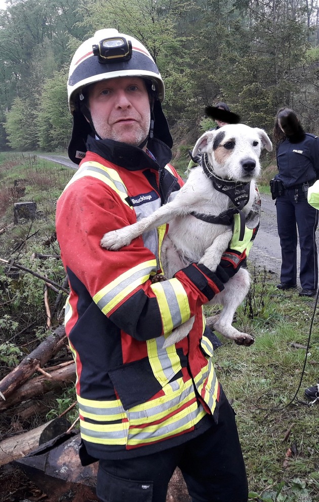 FW-PL: Ortsteil Selscheid - Feuerwehr rettet Hund aus Zwangslage