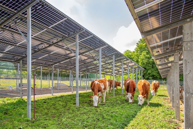 SUNfarming und SPIE realisieren Umspannwerk für grünen Strom aus größtem Agri-Solar-Projekt in Europa