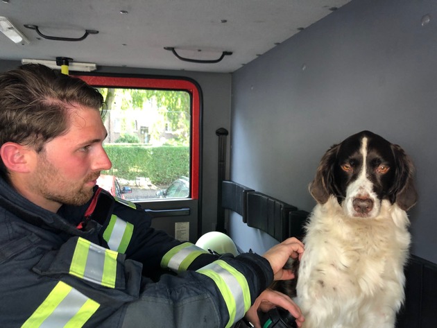 FW-PI: Schenefeld: Feuer in der Küche - Eine Person und Hund aus der Wohnung gerettet