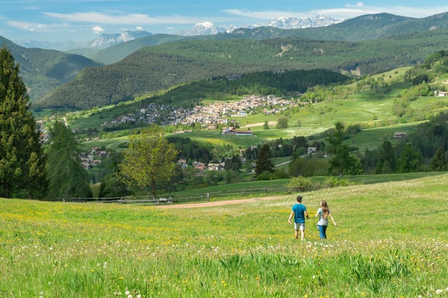 Blühendes Trentino - Die Top 4 Frühlings-Bergwiesen