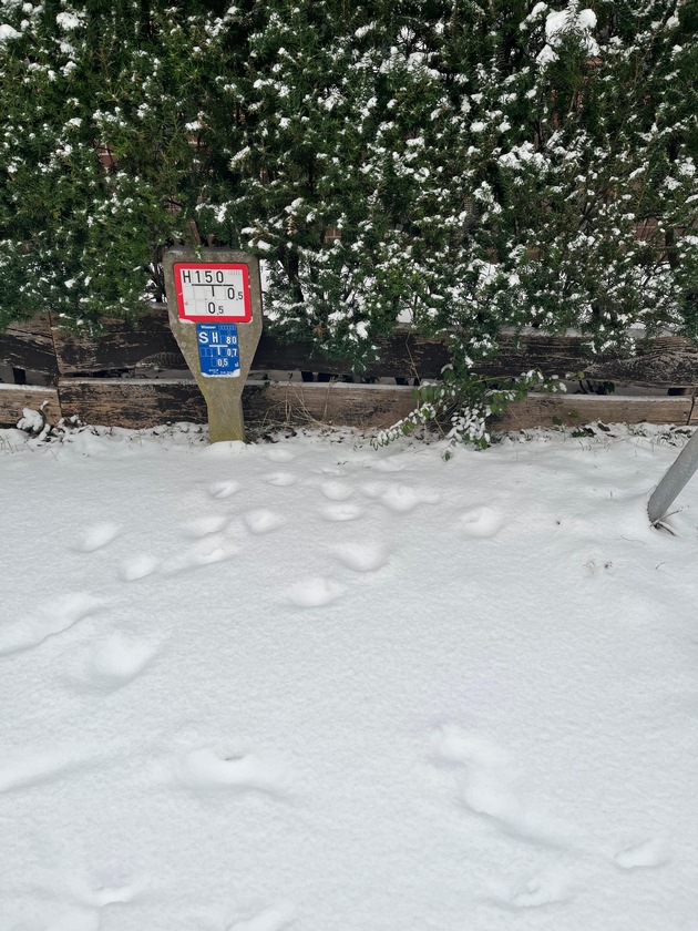 FW Celle: Hydranten vom Schnee befreien