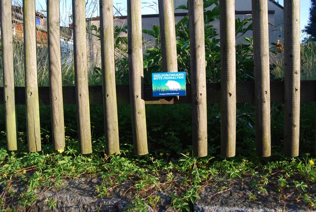 Bahn frei f&uuml;r den Igel