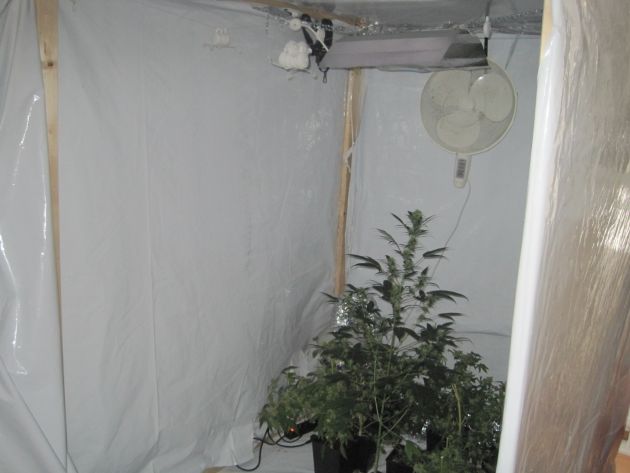POL-GOE: (151/2013) Hanfplantage im Schlafzimmer