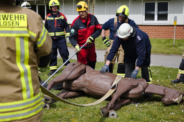 FW-OLL: Feuerwehren im Landkreis Oldenburg trainieren Großtierrettungseinsätze