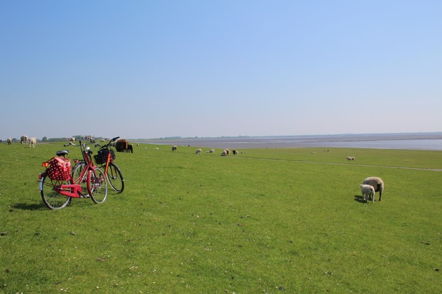 Büsum liegt am längsten Radweg der Welt