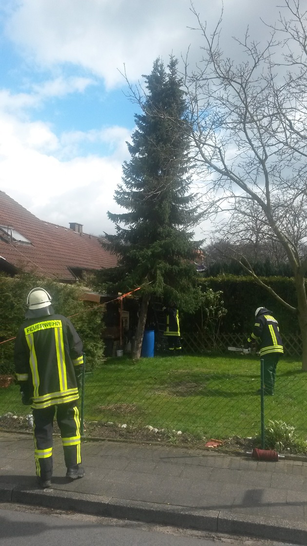 FW-KLE: Bedburg-Hau: Zahlreiche Einsätze durch Sturmtief &quot;Niklas&quot; (Fortsetzung der Meldung, Stand: 16:30 Uhr) /Baum droht auf Haus zu stürzen