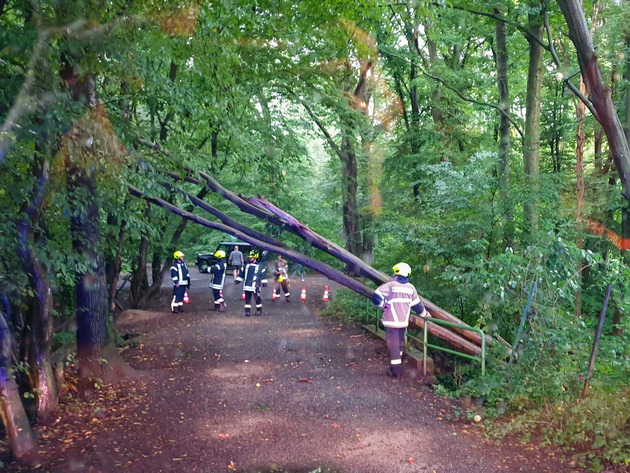 FW Wachtberg: Wetterbedingte Einsätze in Wachtberg