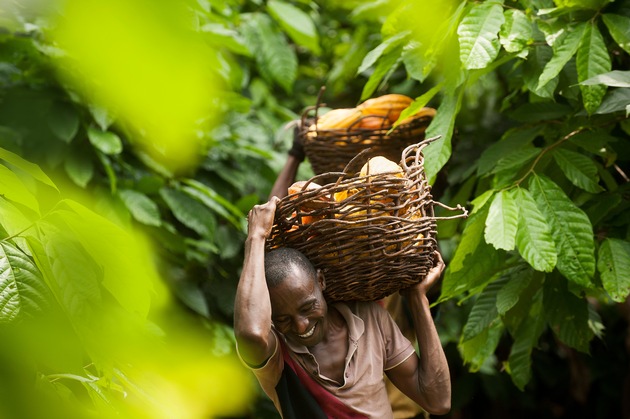 Augmentation de 30% de ventes de cacao Fairtrade en Suisse