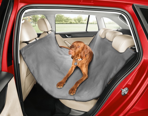 So transportieren Sie jeden Hund sicher in Ihrem Škoda - Škoda