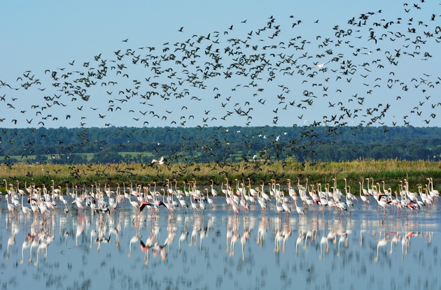 Lissabon im Herbst erleben: Naturparadiese, Vogelzug und wilde Atlantikküste