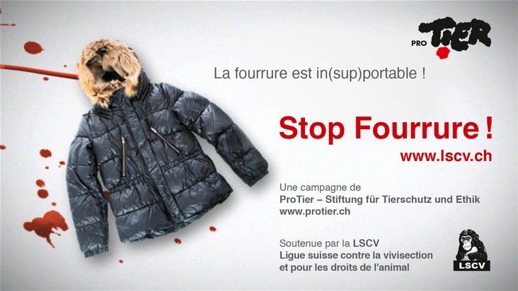 Stop Fourrure ! Pas de souffrance pour la mode Lancement d&#039;un spot publicitaire contre la fourrure dans des cinémas