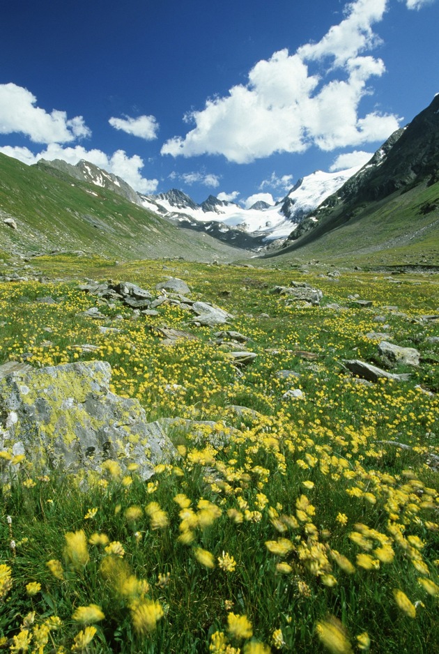 4 best of obergurgl Hotels bieten auf über 2000 Metern traumhafte Erlebnistage - BILD