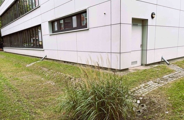 Drees & Sommer SE: Gutachten zur Regenwasserbewirtschaftung an 24 Berliner Schulen abgeschlossen: Drees & Sommer schafft Grundlage für wassersensible Stadtplanung in Lichtenberg