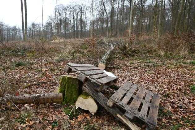 POL-KS: Unbekannte beschädigen Bäume im Wald und bauen Mountainbikestrecke: Polizei erbittet Hinweise