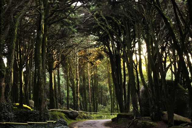 Lissabon im Herbst erleben: Naturparadiese, Vogelzug und wilde Atlantikküste
