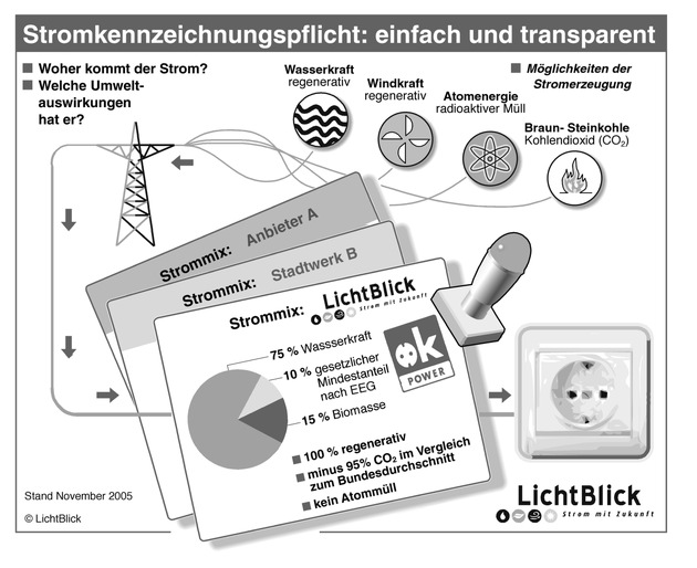 Stromkennzeichnung: LichtBlick setzt Maßstäbe bei der Umsetzung