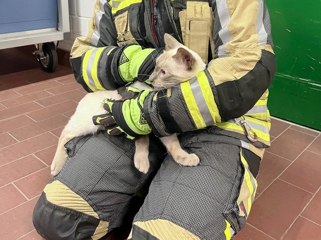 FW Hünxe: Feuerwehr rettet eingeklemmte Katze aus Schleusenkammer