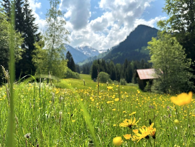 Internationales Gemeindenetzwerk „Allianz in den Alpen“ trifft sich in Bad Hindelang - Fachtagung berät über saisonalen nachhaltigen Tourismus und Klimawandel