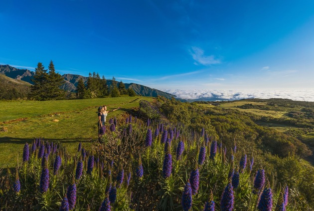 Dem Winter entfliehen auf Madeira – Farbtherapie gegen den Winterblues