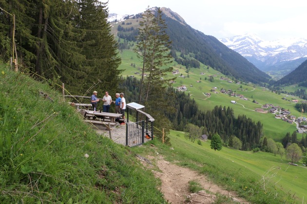 Medienmitteilung: Wiederaufforstungsprojekt am Oberbort erfolgreich abgeschlossen