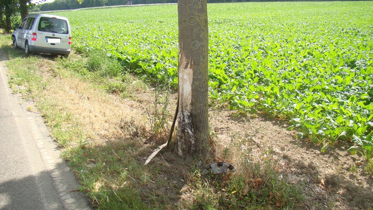 POL-DN: Pkw prallt gegen Baum