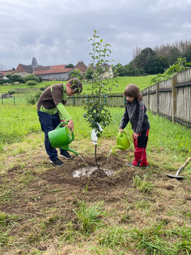 Einheitsbuddeln: Pflanze einen Baum - für die Einheit und die Umwelt!