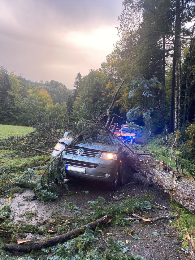 POL-FR: Unwetter - Warnung vor Sturmtief mit einzelnen Orkanböen - mehrere Schäden durch Windbruch - Baum knickt ab und stürzt auf vorbeifahrenden Pkw - 2 schwer verletzte Personen