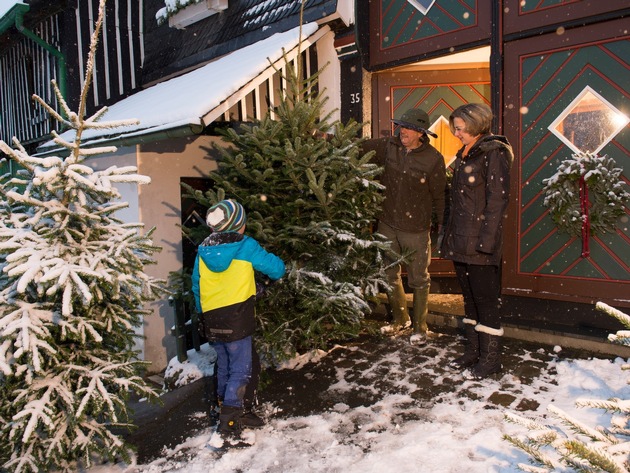 Besuch im Weihnachtsbaumland – wo Tradition zu Hause ist