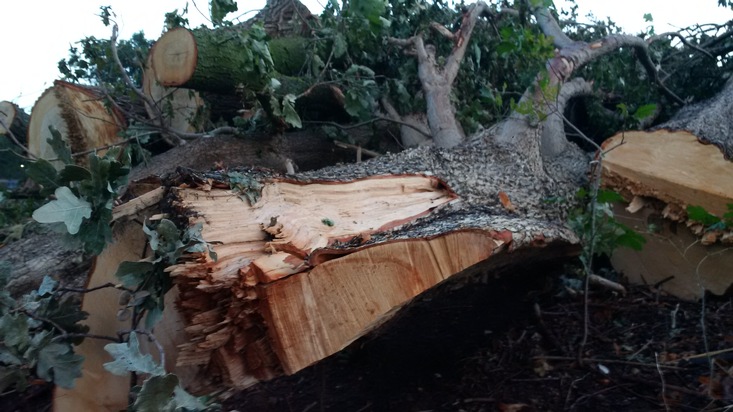 FW-KLE: Gewitter mit Sturmböen über Bedburg-Hau / Stromausfälle in Teilen der Gemeinde