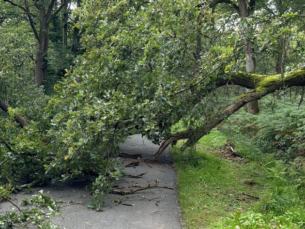 FW Hünxe: Straße durch umgestürzten Baum blockiert