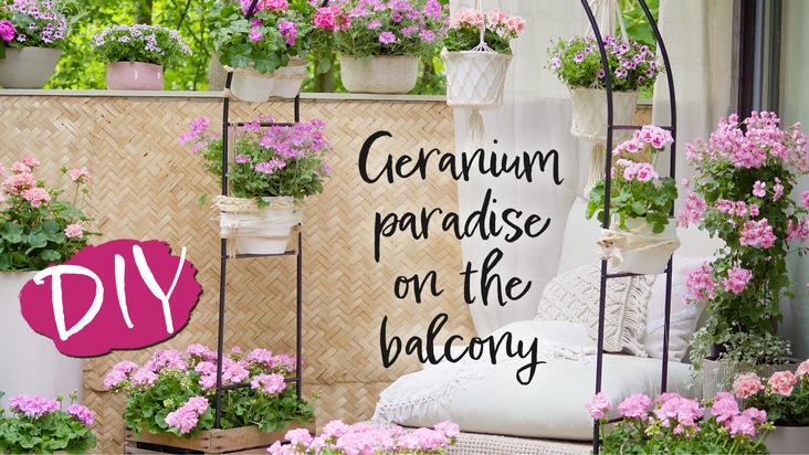 Bewegtbildkommunikation mit Geranien-Filmen: Jetzt Videos von Pelargonium for Europe nutzen