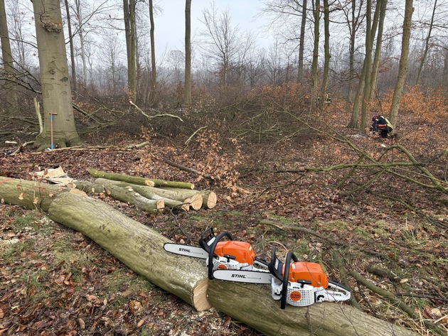 FW Wathlingen: Motorkettensägenausbildung in der Samtgemeinde Wathlingen - 12 Einsatzkräfte absolvieren das Modul A