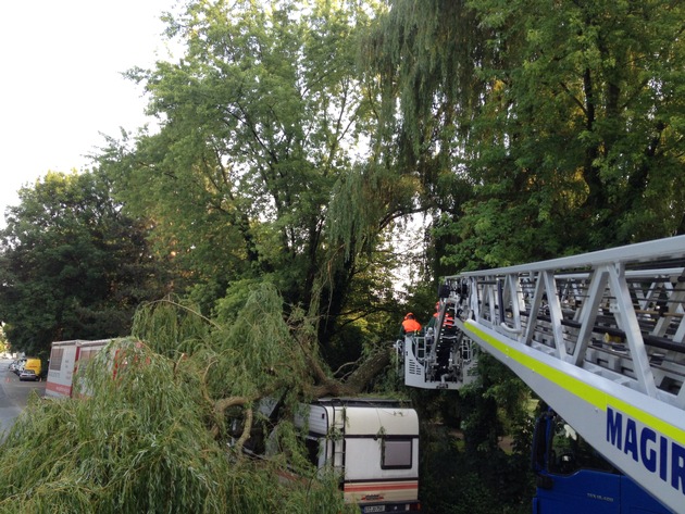 FW Lage: Baum auf Wohnmobil und Straße