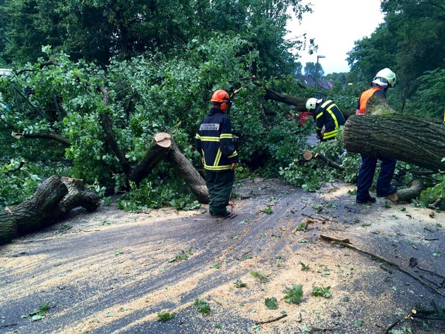 FW-GE: Unwetter im Nordosten von Gelsenkirchen  - Abschließende Bilanz der Feuerwehr