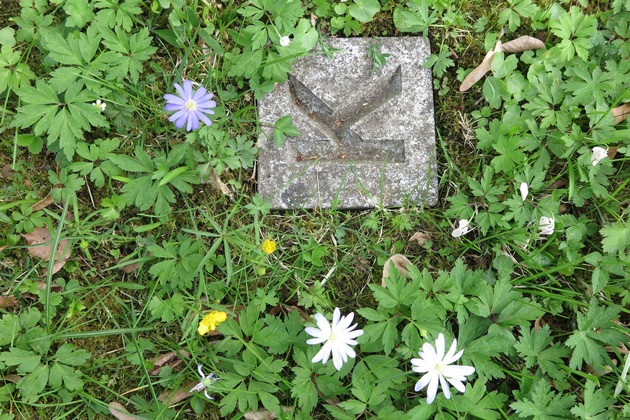 Presseeinladung: „The Alphabet Garden“ – Symposium in Anwesenheit der US-amerikanischen Künstlerin Diane Samuels