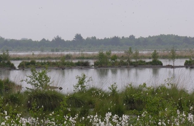 Zum Weltwassertag: GNF und Netzwerk Lebendige Seen fordern wirksamen Wasser- und Gewässerschutz