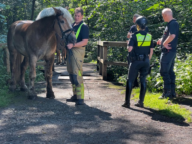 FW Hannover: Tierrettungseinsatz an Polizeipferd in der Eilenriede