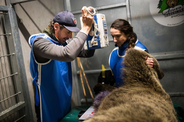 Examen vétérinaire réussi de Meimo et Jamila à Arosa Terre des Ours