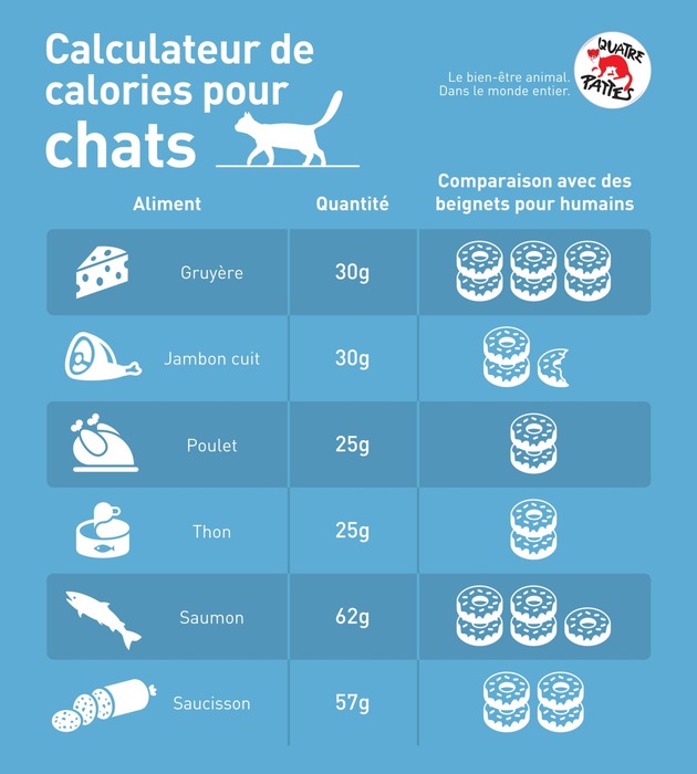 Obésité chez les chiens et chats :  QUATRE PATTES conseille les propriétaires d&#039;animaux de compagnie en surpoids