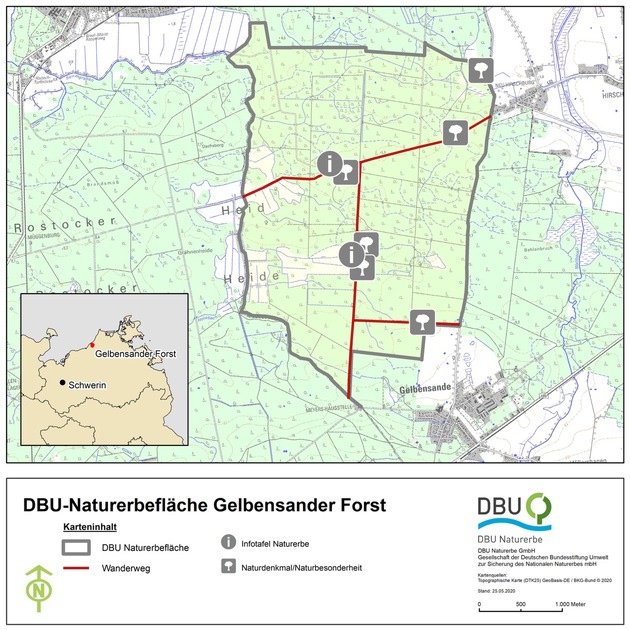 Moorschutz im DBU-Naturerbe Gelbensander Forst