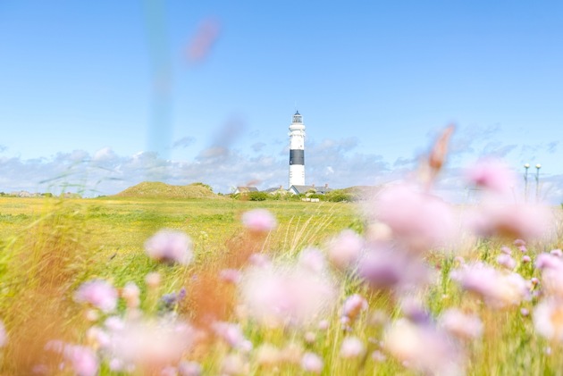 Sylt behauptet Spitzenposition im SH-Tourismus