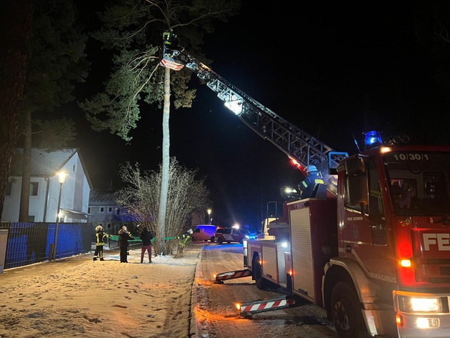 FW Celle: Katze aus Baum gerettet