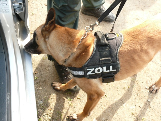 ZOLL-DD: Zoll beschlagnahmt 1,5 Kilogramm Marihuana und 600 Gramm Crystal
Rauschgiftspürhunde mit dem richtigen Riecher
