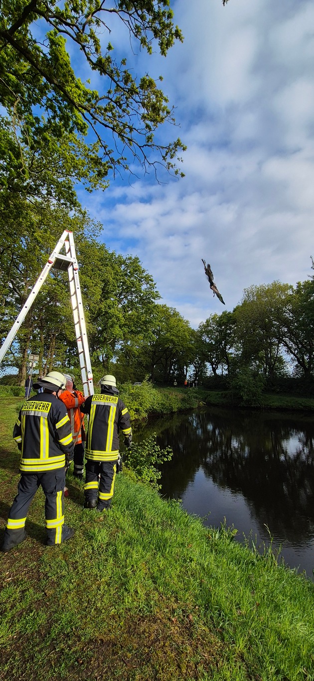 FFW Schiffdorf: Feuerwehr rettet Vogel aus misslicher Lage