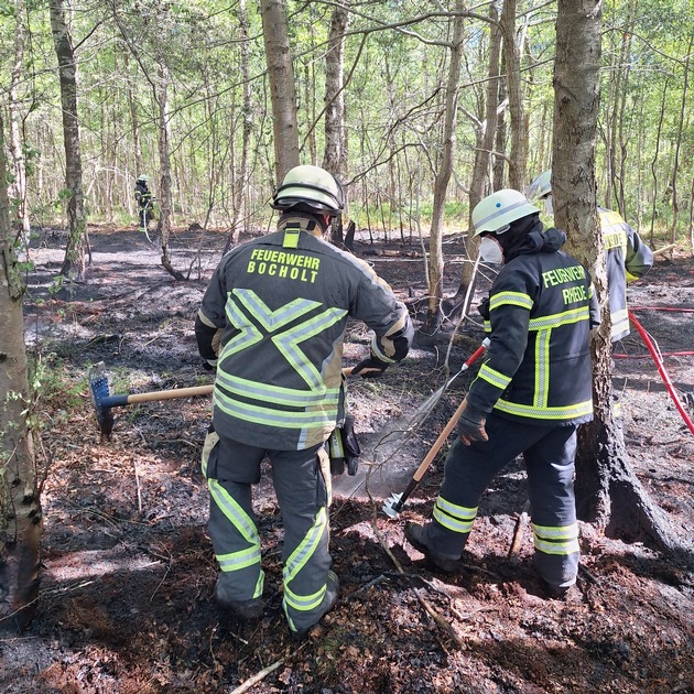 FW Bocholt: Waldbrand in Bocholt - Barlo