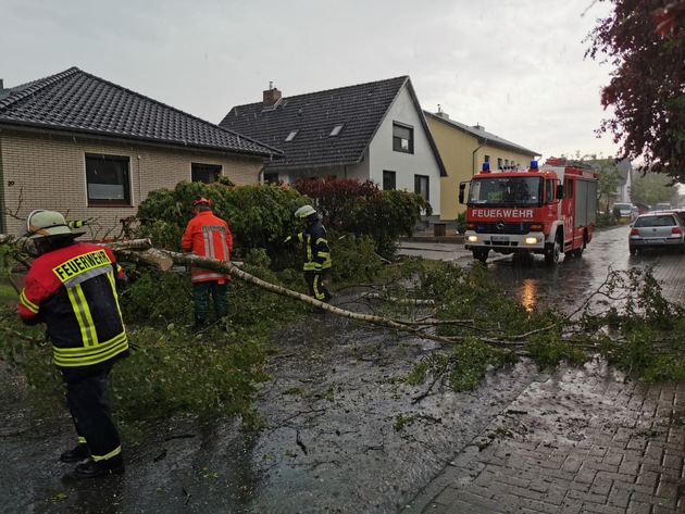 FFW Schiffdorf: Unwetter sorgt für abgebrochenen Baum