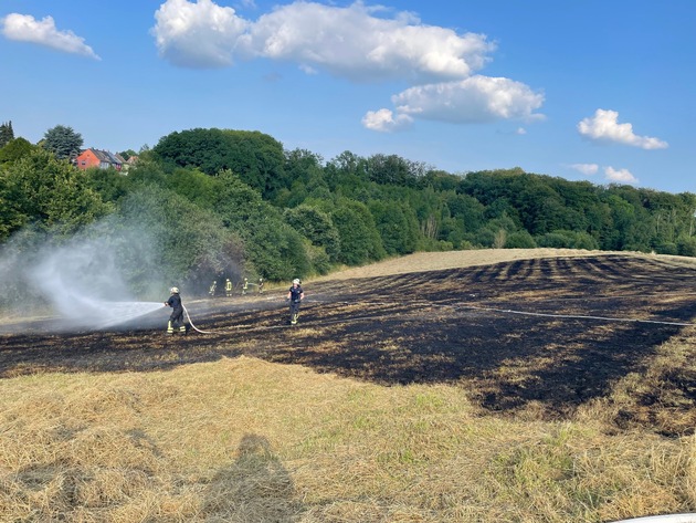 FW-DO: Landwirtschaftlich genutztes Feld stand in Flammen
